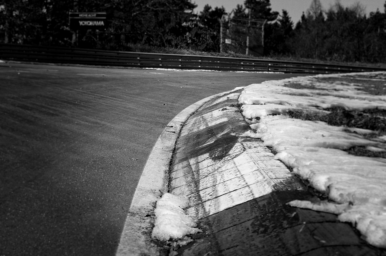 DSC03723 Kopie Kopie Kopie